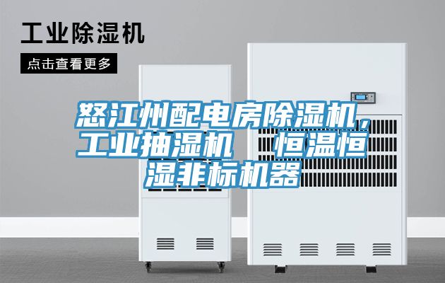 怒江州配电房除湿机，工业抽湿机  恒温恒湿非标机器