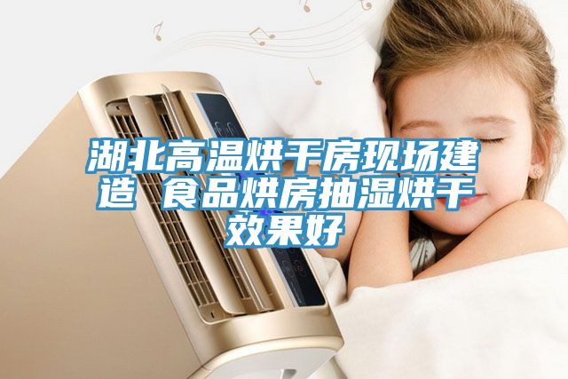湖北高温烘干房现场建造 食品烘房抽湿烘干效果好