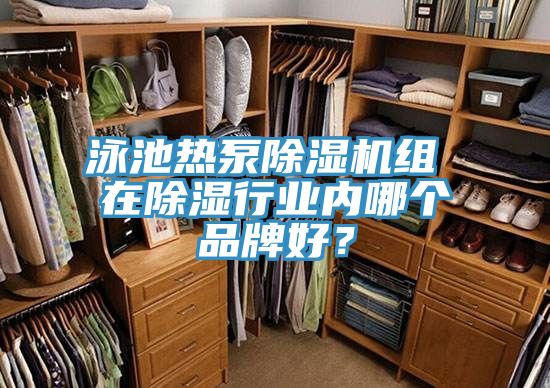 泳池热泵除湿机组 在除湿行业内哪个品牌好？