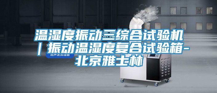温湿度振动三综合试验机｜振动温湿度复合试验箱-北京雅士林