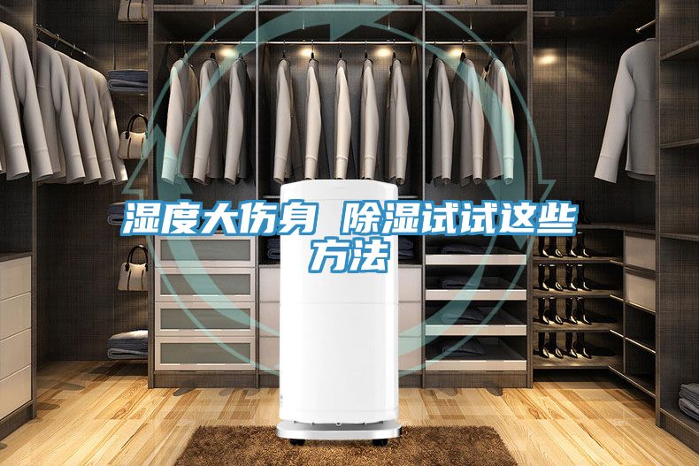 湿度大伤身 除湿试试这些方法