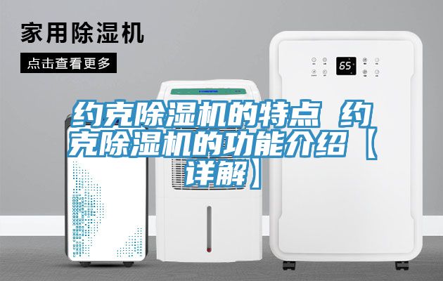 约克除湿机的特点 约克除湿机的功能介绍【详解】