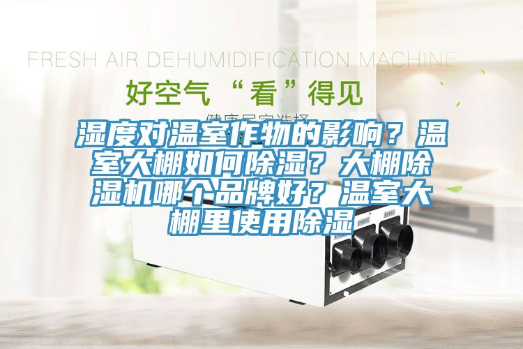 湿度对温室作物的影响？温室大棚如何除湿？大棚除湿机哪个品牌好？温室大棚里使用除湿