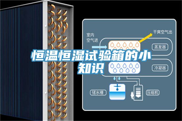 恒温恒湿试验箱的小知识