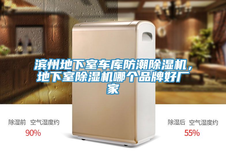 滨州地下室车库防潮除湿机，地下室除湿机哪个品牌好厂家