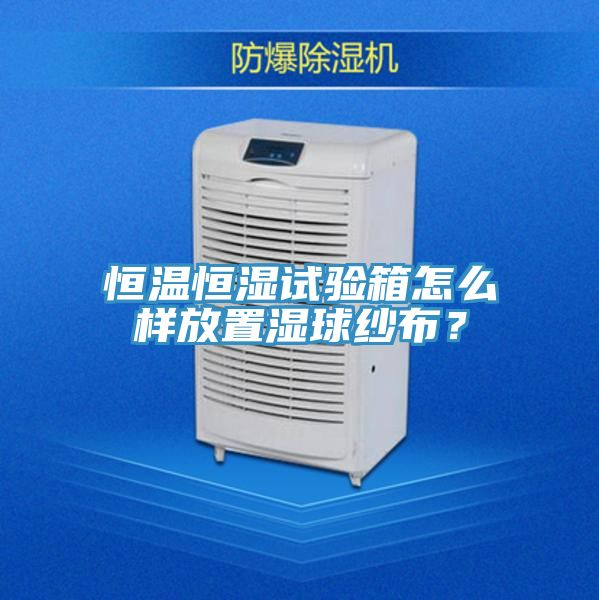 恒温恒湿试验箱怎么样放置湿球纱布？