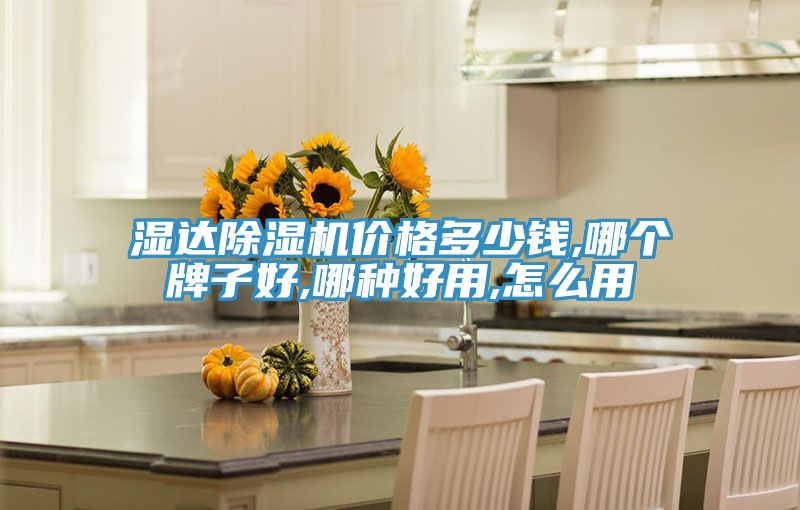 湿达除湿机价格多少钱,哪个牌子好,哪种好用,怎么用