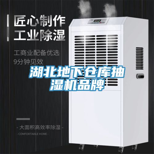 湖北地下仓库抽湿机品牌