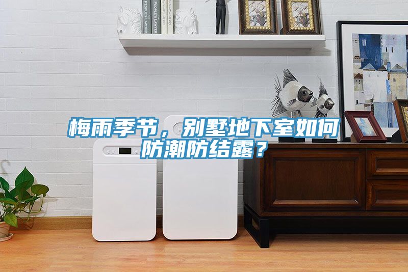 梅雨季节，别墅地下室如何防潮防结露？