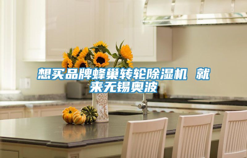想买品牌蜂巢转轮除湿机 就来无锡奥波