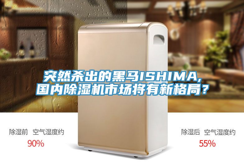 突然杀出的黑马ISHIMA,国内除湿机市场将有新格局？