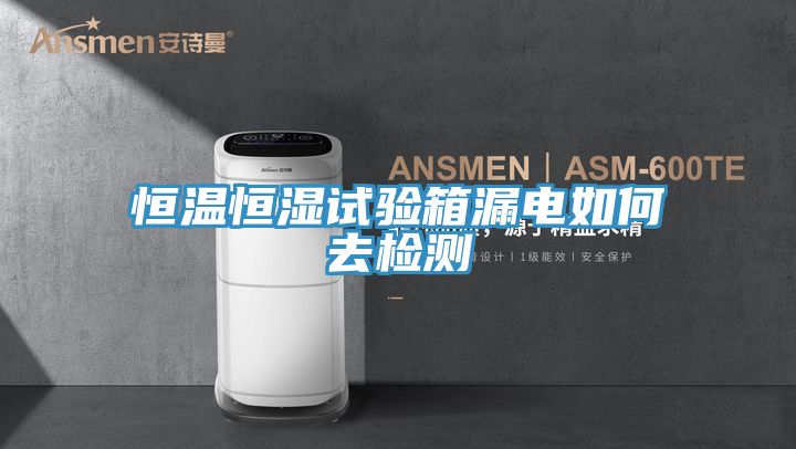 恒温恒湿试验箱漏电如何去检测