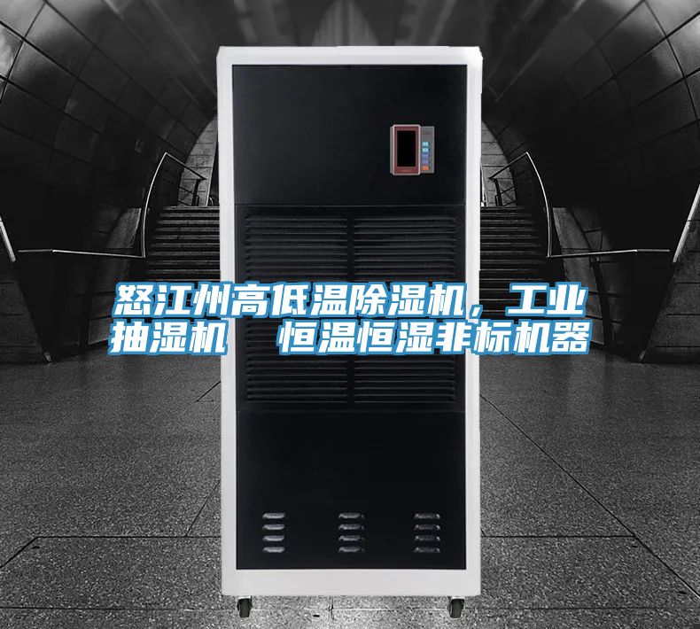 怒江州高低温除湿机，工业抽湿机  恒温恒湿非标机器