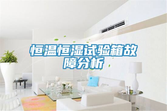 恒温恒湿试验箱故障分析
