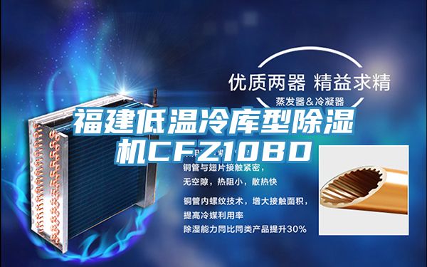 福建低温冷库型除湿机CFZ10BD