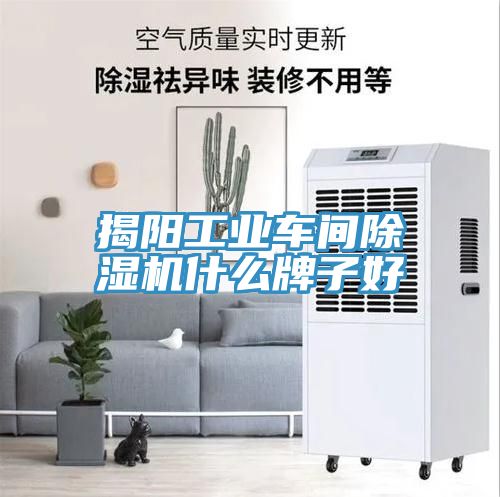 揭阳工业车间除湿机什么牌子好