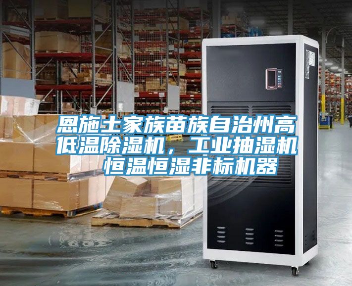 恩施土家族苗族自治州高低温除湿机，工业抽湿机  恒温恒湿非标机器