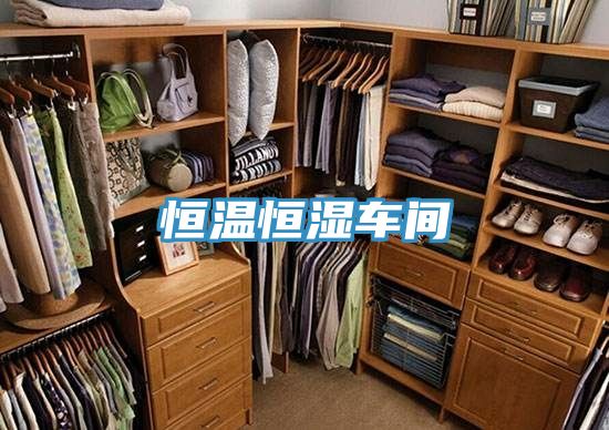 恒温恒湿车间