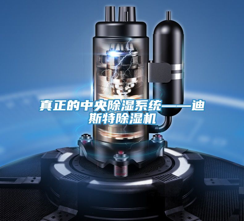 真正的中央除湿系统——迪斯特除湿机