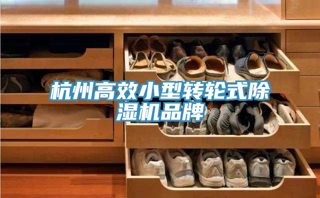 杭州高效小型转轮式除湿机品牌