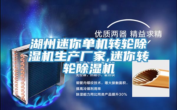 湖州迷你单机转轮除湿机生产厂家,迷你转轮除湿机