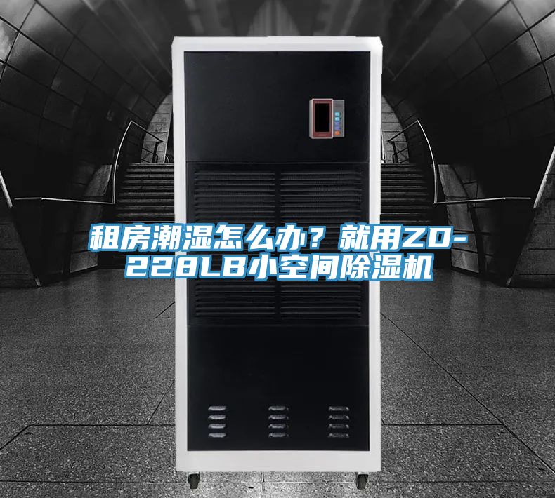 租房潮湿怎么办？就用ZD-228LB小空间除湿机