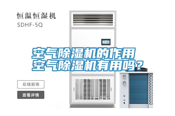 空气除湿机的作用 空气除湿机有用吗？