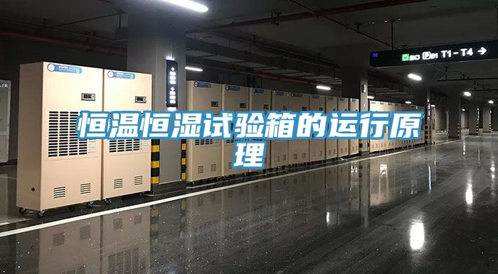 恒温恒湿试验箱的运行原理