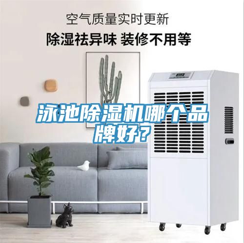 泳池除湿机哪个品牌好？