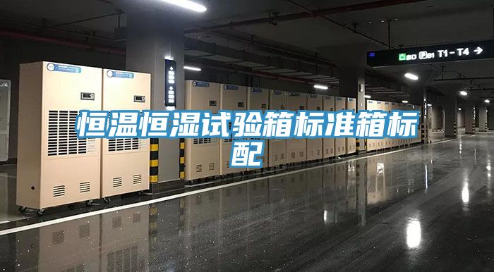 恒温恒湿试验箱标准箱标配