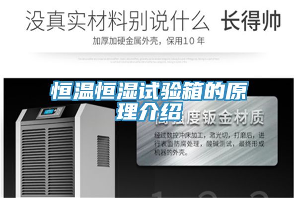 恒温恒湿试验箱的原理介绍