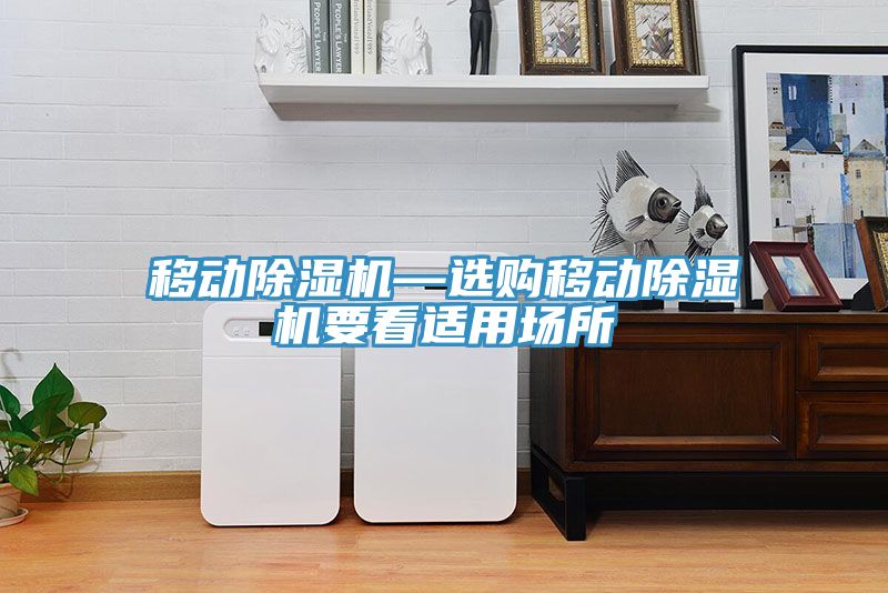移动除湿机—选购移动除湿机要看适用场所