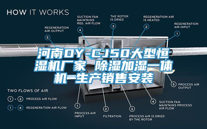 河南DY-CJ50大型恒湿机厂家 除湿加湿一体机 生产销售安装