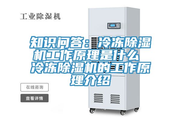 知识问答：冷冻除湿机工作原理是什么 冷冻除湿机的工作原理介绍