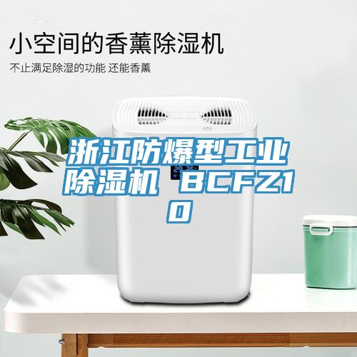 浙江防爆型工业除湿机 BCFZ10