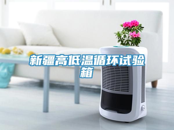 新疆高低温循环试验箱