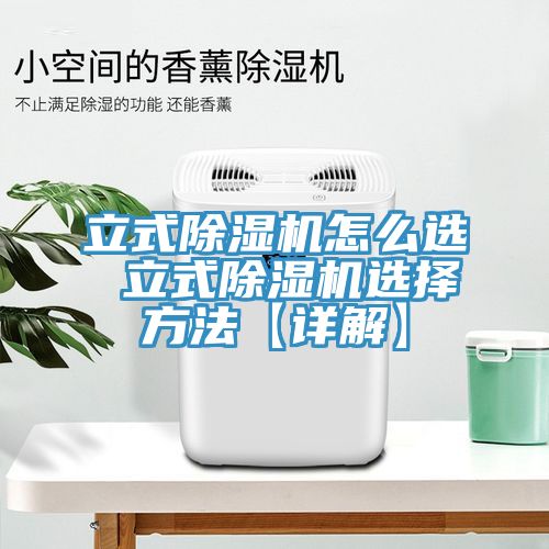 立式除湿机怎么选 立式除湿机选择方法【详解】