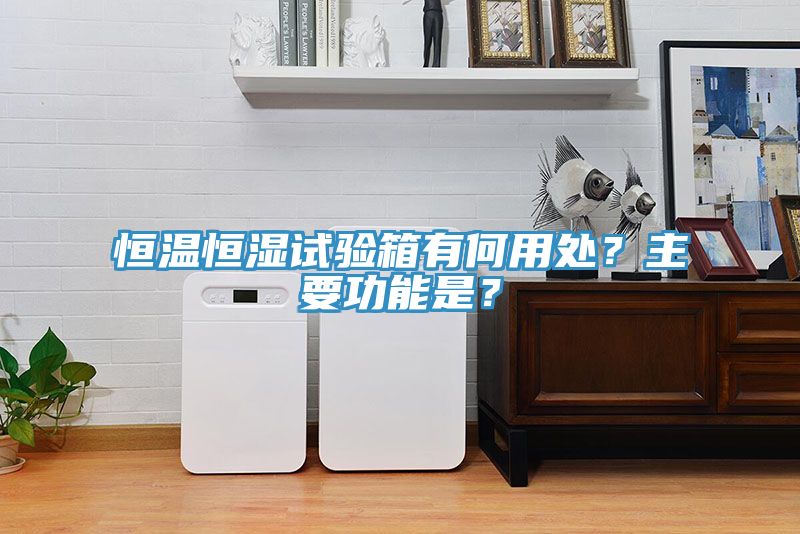 恒温恒湿试验箱有何用处？主要功能是？