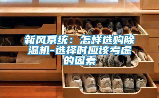 新风系统：怎样选购除湿机-选择时应该考虑的因素