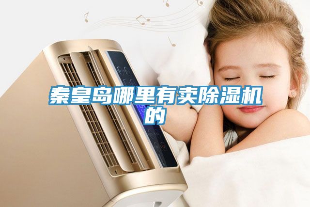 秦皇岛哪里有卖除湿机的