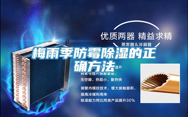 梅雨季防霉除湿的正确方法
