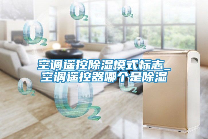 空调遥控除湿模式标志_空调遥控器哪个是除湿