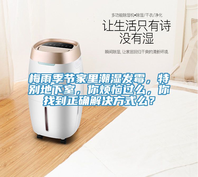 梅雨季节家里潮湿发霉，特别地下室，你烦恼过么，你找到正确解决方式么？