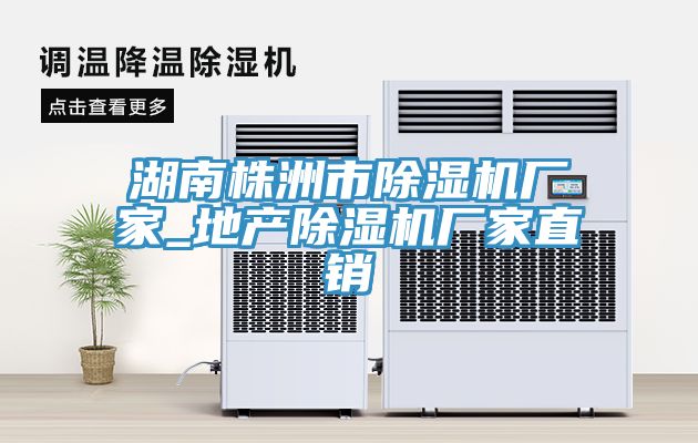 湖南株洲市除湿机厂家_地产除湿机厂家直销