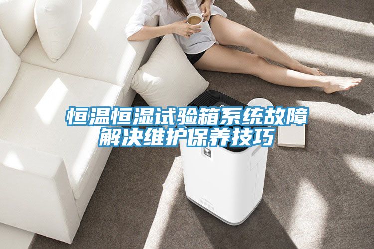恒温恒湿试验箱系统故障解决维护保养技巧