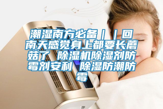 潮湿南方必备｜｜回南天感觉身上都要长蘑菇了 除湿机除湿剂防霉剂安利 除湿防潮防霉