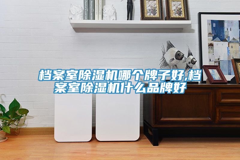 档案室除湿机哪个牌子好,档案室除湿机什么品牌好
