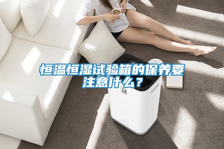 恒温恒湿试验箱的保养要注意什么？