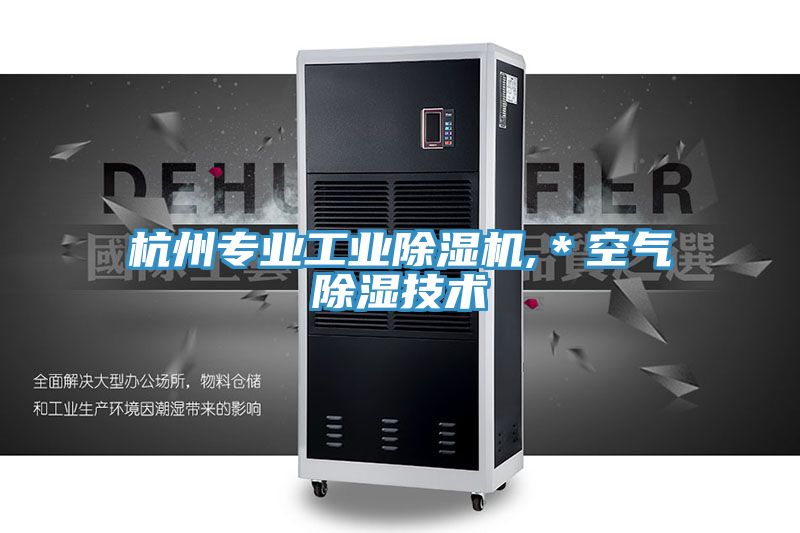 杭州专业工业除湿机,＊空气除湿技术
