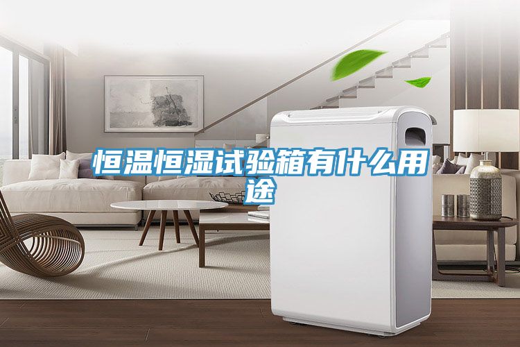 恒温恒湿试验箱有什么用途